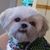 Kelli Mack's profile image