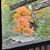 Lori Smock's profile image