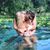 Dalton Dalecki's profile image