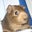 Benny F.'s profile image