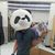 Brian Chu's profile image