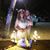 Robbe Wright's profile image