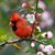 Shary Albertson's profile image