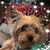 Molly Scott-Auth's profile image