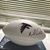 Frazier Holibaugh's profile image