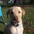 Sue Nissen Herdman's profile image