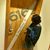 Michelle Harris-Davis's profile image