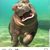 Jennifer Lanham's profile image
