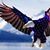 Jason A. Rainbolt's profile image