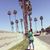 Laura Martinez's profile image
