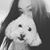 Janice Ma's profile image