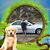 Jaime D Vicen's profile image
