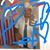Vicente Salamanca's profile image