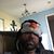 Chris Primavera's profile image