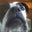 Tim Dorrycott's profile image