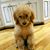 Stephanie-and Jeff Stein's profile image