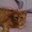 Leslie Greenbaum's profile image