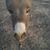 Myrna Patterson's profile image