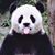 AlanaTee SouthRland Genesee's profile image