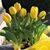 Penni Heller Higgens's profile image
