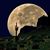 David Estell's profile image