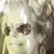 Gail Morrow's profile image