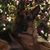 Sheri Wolcott's profile image