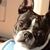 ChaCha Blake's profile image