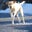Sharon Langford's profile image