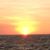 Dee Sinski's profile image