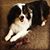 Lisa Hinchey's profile image