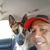 Edward A. Leon's profile image
