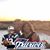 Donna Fortin Raymond's profile image