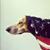 Chuck Haettich's profile image