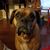 Cari Cooper Johnson's profile image