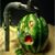 Sarah Black's profile image