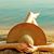 Jana Sicilia's profile image