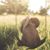 Tifinee Thompson-Brownlee's profile image