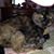 Judith A. Hartman's profile image