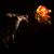 Nathan Lindsay Lauck's profile image