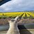 Deb Harrington's profile image