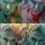 Alen Vukovic's profile image