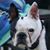 Ginger Pasch Cox's profile image