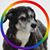 Beth Shropshire's profile image