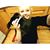 Natalie Gasiecki's profile image