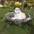 Ruby Martin's profile image
