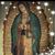 Guadalupe Jimenez's profile image