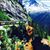 Sandra Cruzado Brinkley's profile image