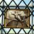 Jodi Aden Miller's profile image