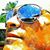 Jason Minton's profile image